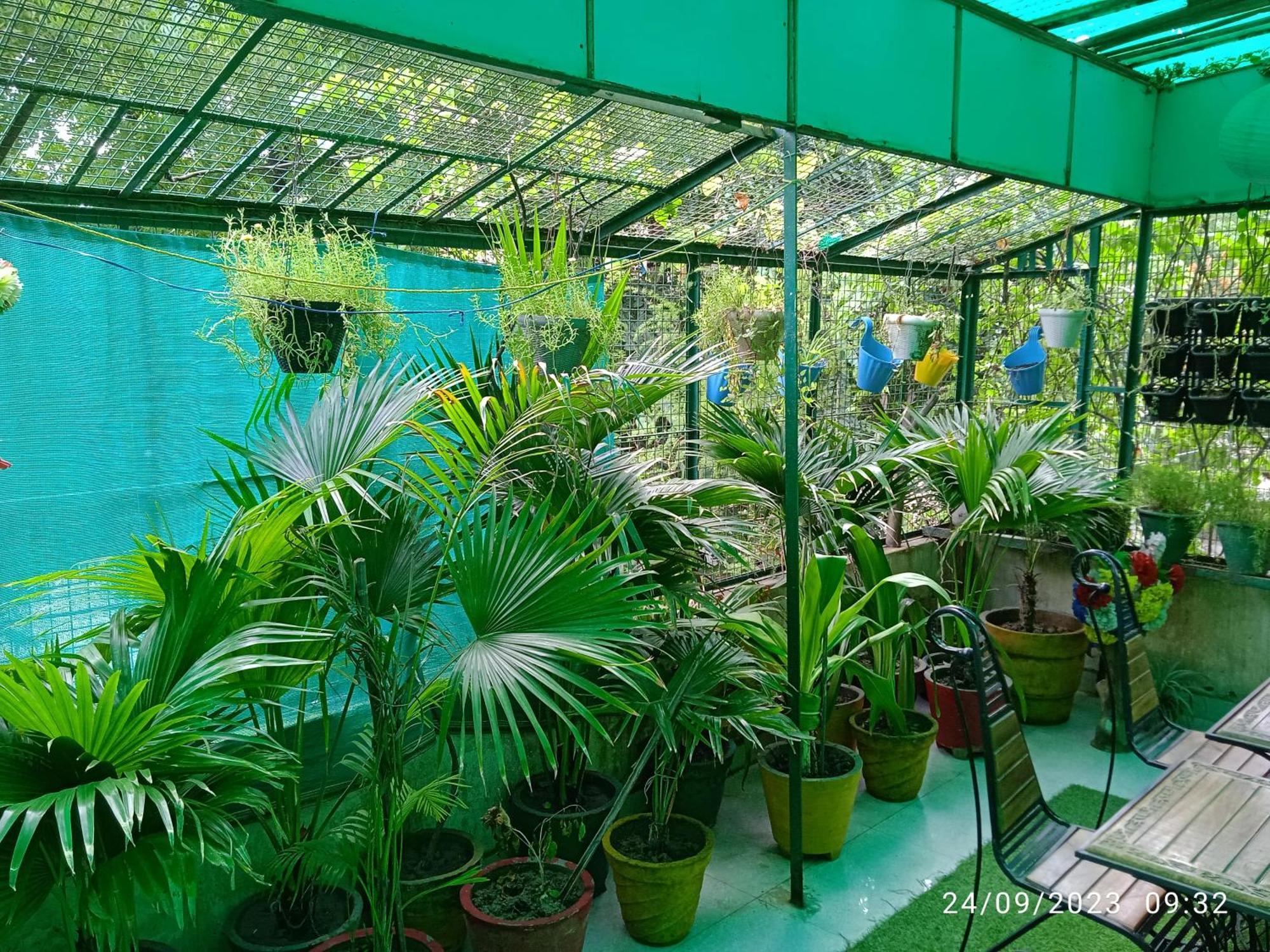 Max Agra (Uttar Pradesh)