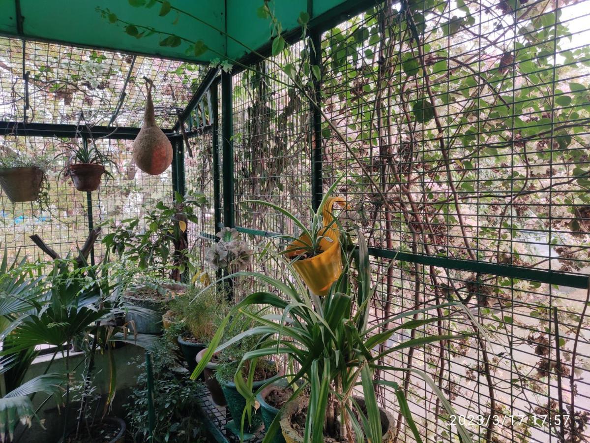 Guest house Max Agra (Uttar Pradesh)
