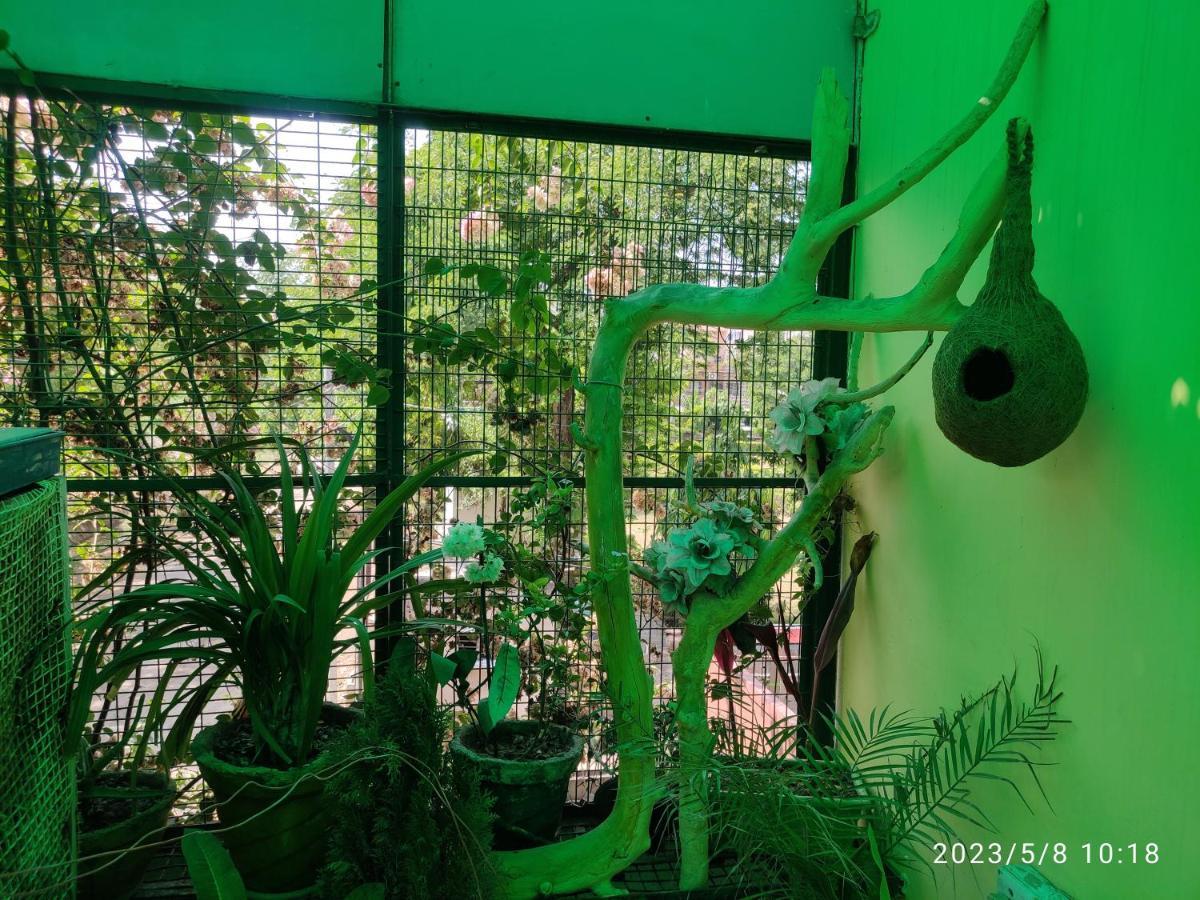 Max Guest house *